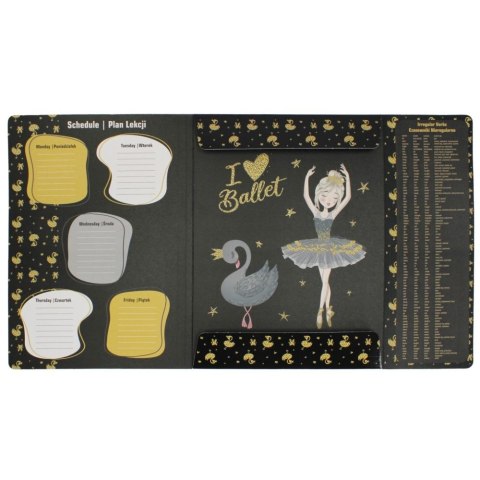 Teczka kartonowa na gumkę balerina A4 różne Starpak (491061)