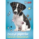 Zeszyt papierów kolorowych A5 90g 10k [mm:] 148x210 Unipap