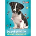 Zeszyt papierów kolorowych A5 90g 10k [mm:] 148x210 Unipap