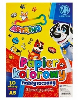 Papier kolorowy A5 samoprzylepny mix 100k. 170g Astrino (106025003)