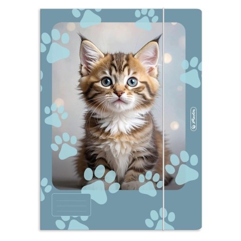 Teczka kartonowa na gumkę Animals A4 Herlitz (400207738)