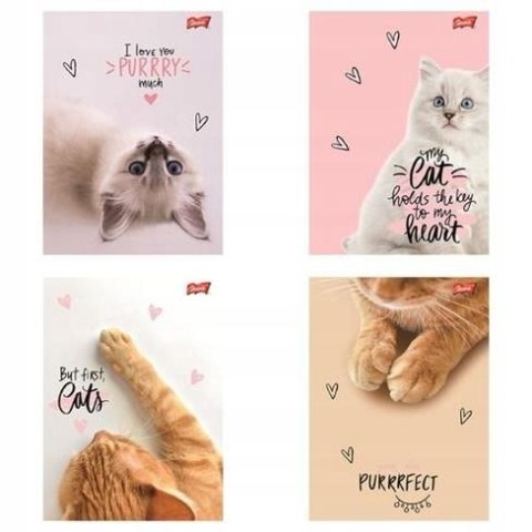 Zeszyt A5 PURRFECT MOMENTS 60k. 70g linia Unipap