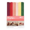 Bibuła Happy Color (HA 3650 2510-MIX RM)
