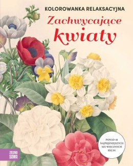 Książka dla dzieci Kolorowanka relaksacyjna. Zachwycające kwiaty Zielona Sowa