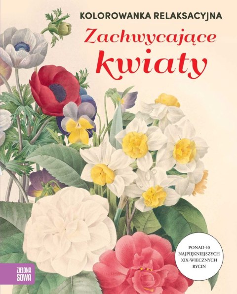Książka dla dzieci Kolorowanka relaksacyjna. Zachwycające kwiaty Zielona Sowa