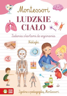 Książka dla dzieci Montessori. Ludzkie ciało Zielona Sowa