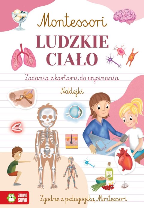 Książka dla dzieci Montessori. Ludzkie ciało Zielona Sowa