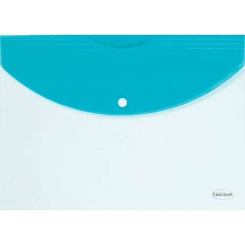 Teczka plastikowa Panta Plast (0452-2703-99)