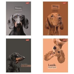 Zeszyt A5 Doggy Moods 60k. 70g krata Unipap