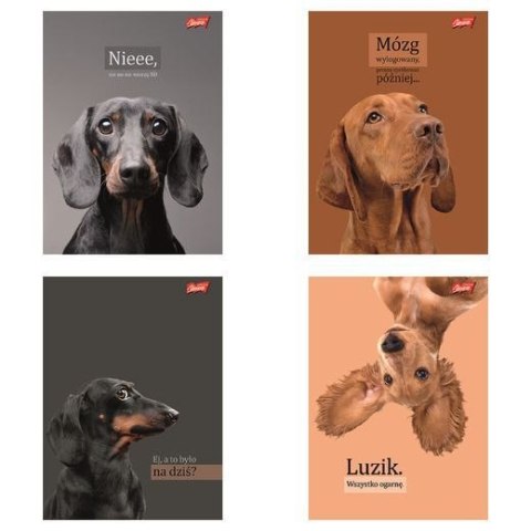 Zeszyt A5 Doggy Moods 60k. 70g krata Unipap