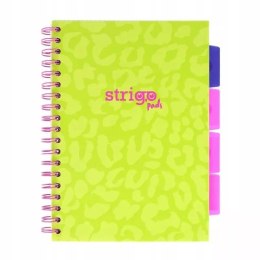 Kołozeszyt (kołonotatnik) B5 NEON zielony 5905658827038 100k. linia Strigo (PADS085)