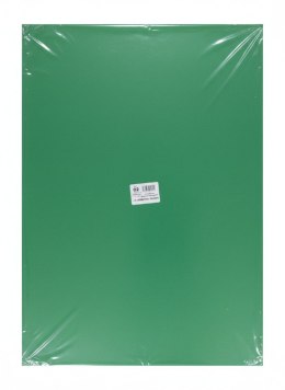 Brystol A1 zielony 20k Protos