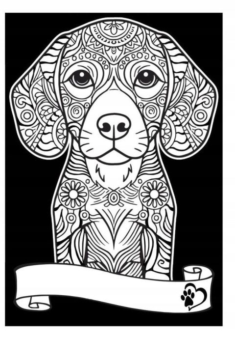 Kolorowanka Beagle (CVCM-SD013)