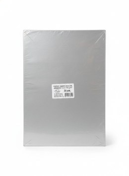 Papier kolorowy A4 srebrny 20k. 110g Protos