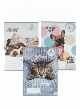 Zeszyt A4 The Sweet Pets 32k. krata Beniamin