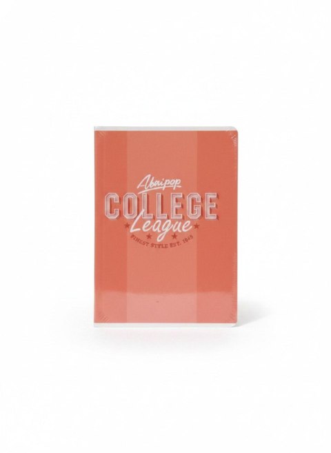 Zeszyt A5 COLLEGE DAILY 60k. 90g krata Unipap