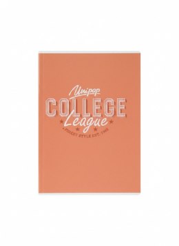 Zeszyt A5 COLLEGE DAILY 60k. 90g linia Unipap