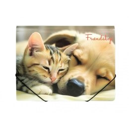 Teczka plastikowa na gumkę FRIENDSHIP A4 mix Panta Plast (0410-0064-55)