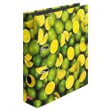 Segregator dźwigniowy 10485134 Lemonki A4 80mm Herlitz (300002464)