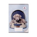 Zeszyt The Sweet Pets Beniamin (6006)