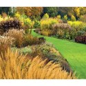 Kalendarz ścienny OGRODY RAJSKIE 13-planszowe 320mm x 470mm Lucrum (RW12)