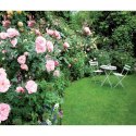 Kalendarz ścienny OGRODY RAJSKIE 13-planszowe 320mm x 470mm Lucrum (RW12)