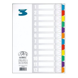 Przekładka czysta A4 170g 13k [mm:] 210x297 Tres (PLA4-12KOLOR)