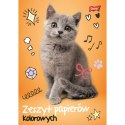 Zeszyt papierów kolorowych A5 80g 10k [mm:] 148x210 Unipap