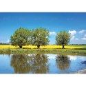 Kalendarz ścienny PEJZAŻE POLSKIE 13-planszowe 320mm x 470mm Lucrum (RW01)