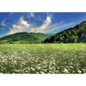 Kalendarz ścienny PEJZAŻE POLSKIE 13-planszowe 320mm x 470mm Lucrum (RW01)