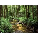 Kalendarz ścienny RODZINNY Pejzaże Polski 13-KARTKOWY 280mm x 200mm Lucrum (WL3)