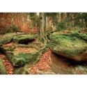 Kalendarz ścienny RODZINNY Pejzaże Polski 13-KARTKOWY 280mm x 200mm Lucrum (WL3)