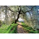 Kalendarz ścienny RODZINNY Pejzaże Polski 13-KARTKOWY 280mm x 200mm Lucrum (WL3)