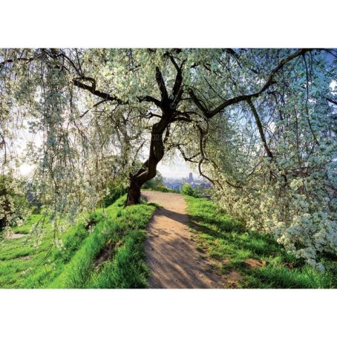 Kalendarz ścienny RODZINNY Pejzaże Polski 13-KARTKOWY 280mm x 200mm Lucrum (WL3)