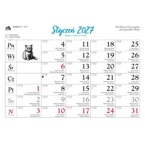 Kalendarz ścienny KOTY I KOTKI 13-planszowe 320mm x 470mm Lucrum (RW9)