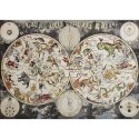 Puzzle MAP 1 PUZZLE 1000 Interdruk