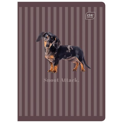Zeszyt A5 PUPPY SIGN 60k. 70g krata Interdruk (ZE60#PS)