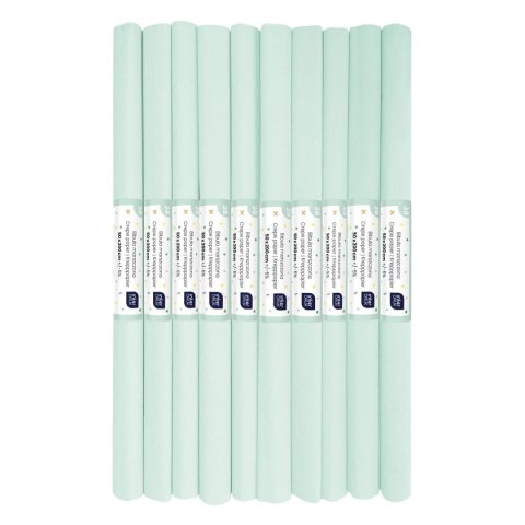 Bibuła PASTEL Interdruk