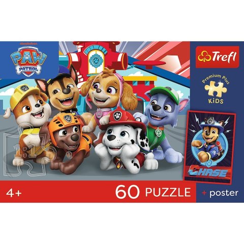 Puzzle Paw Patrol PREMIUM PLUS KIDS Psie popołudnie Trefl (17432)