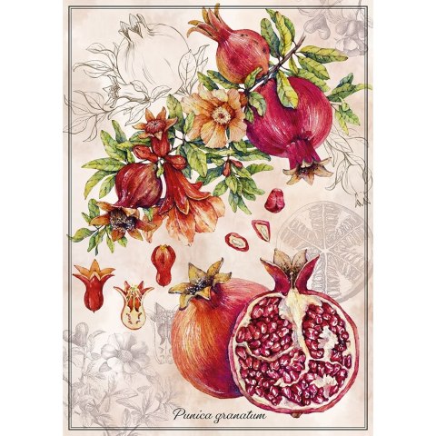 Puzzle BOTANIC POMEGRANTE 1000 el Interdruk