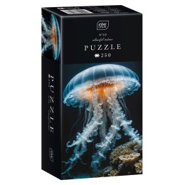 Puzzle Colourf.Nature 10 Jellyfish 250 el. Interdruk