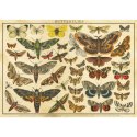 Puzzle VINTAGE NATURE 1 Interdruk