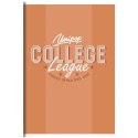 Zeszyt A5 COLLEGE DAILY 60k. 90g krata Unipap