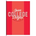 Zeszyt A5 COLLEGE DAILY 60k. 90g krata Unipap