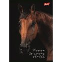 Zeszyt WILD HEART Unipap