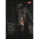 Zeszyt WILD HEART Unipap