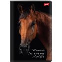 Zeszyt WILD HEART Unipap