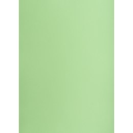 Brystol A3 groszkowy 160g 25k [mm:] 297x420 Creatinio (400150239)