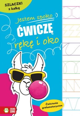 Książeczka edukacyjna Jestem spoko. Szlaczki z kalką Zielona Sowa