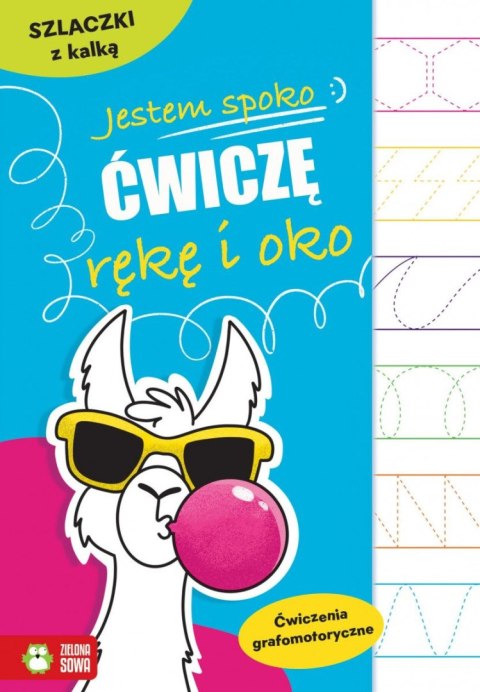Książeczka edukacyjna Jestem spoko. Szlaczki z kalką Zielona Sowa